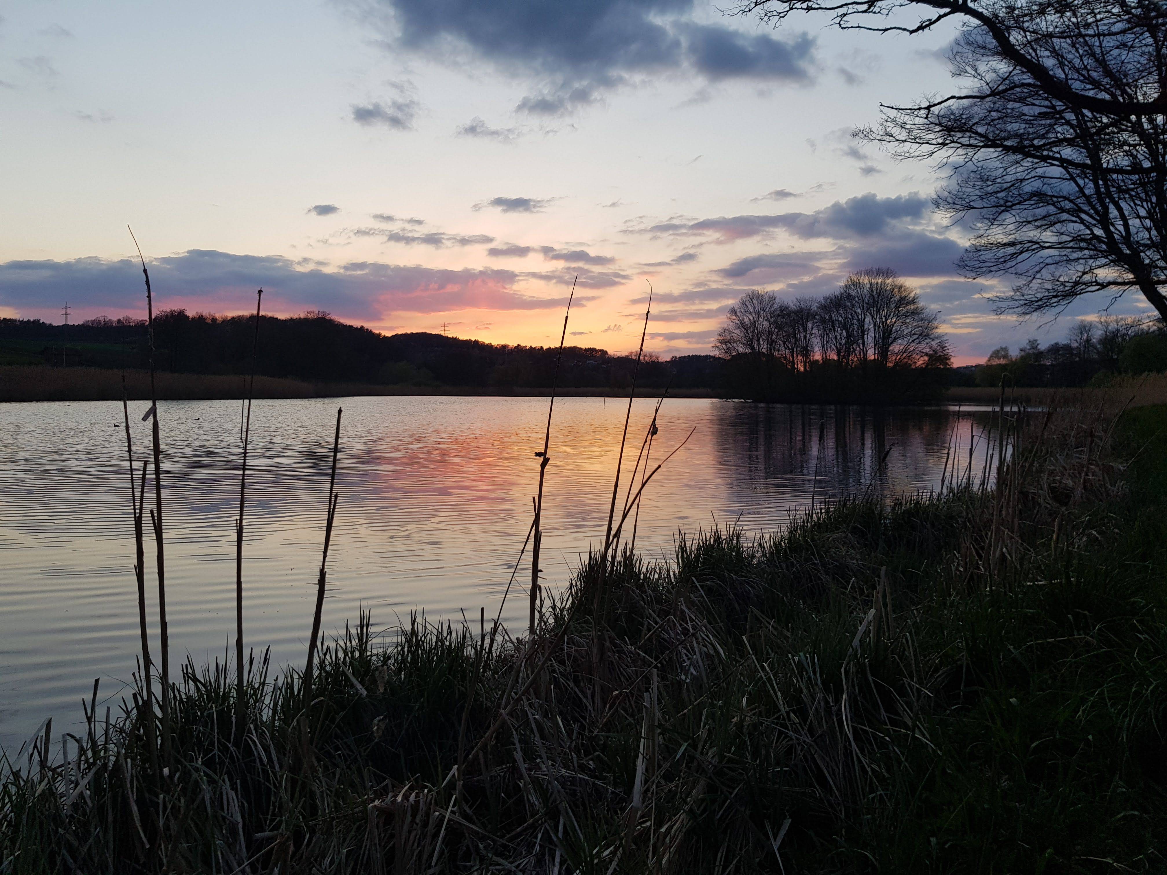 Naturbadeteich Sonnenuntergang