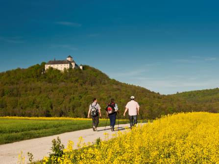 Schloss Greifenstein