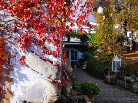 Einfahrt Landhotel Altes Kurhaus Herbststimmung