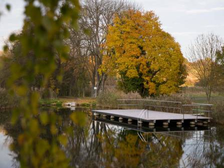 Schwimmteich im Herbst