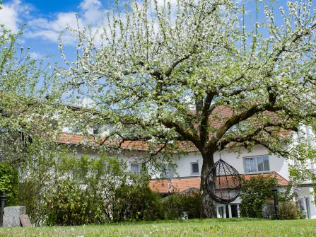 Blühender Baum Landhotel Altes Kurhaus