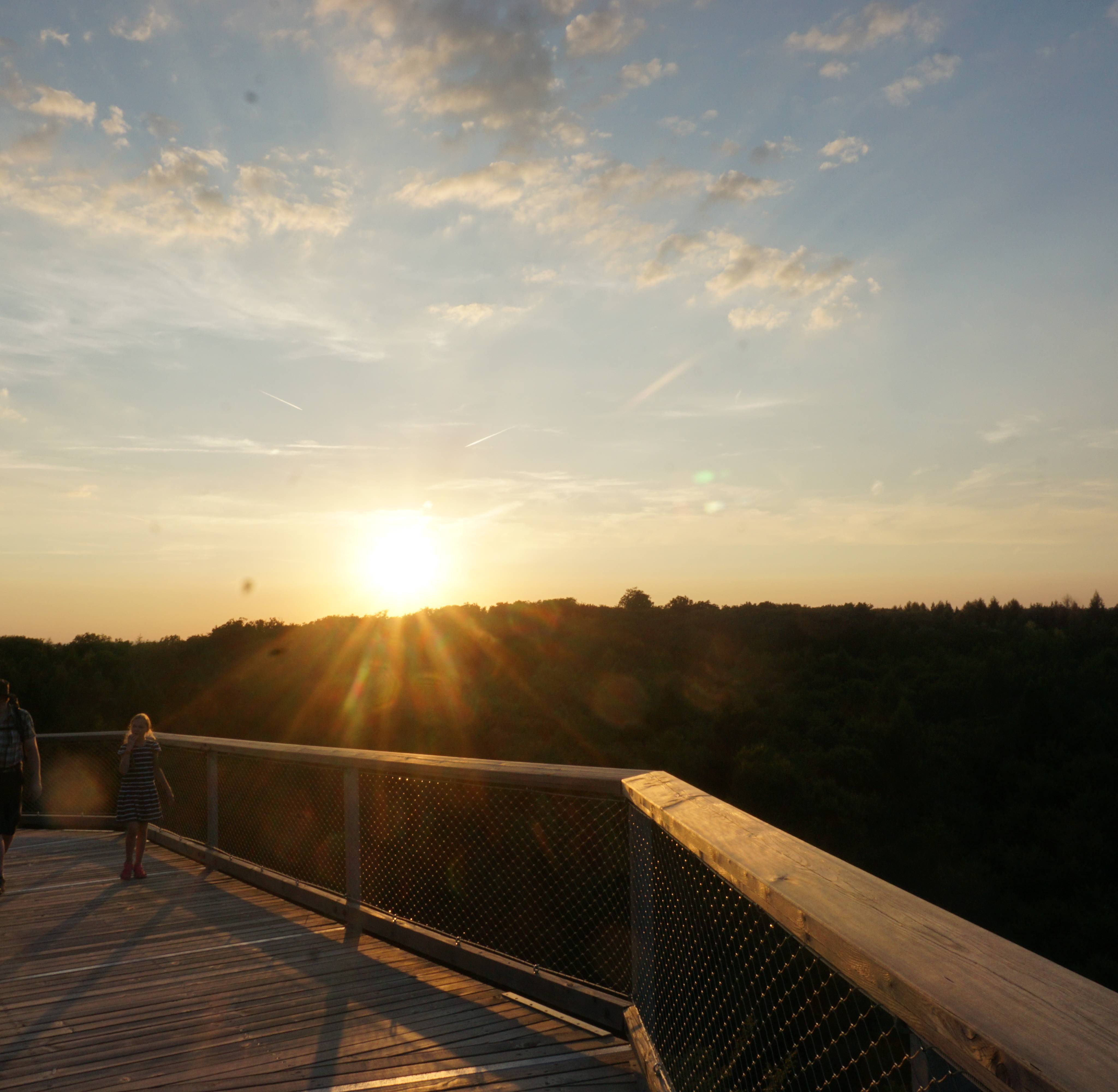 Sonnenuntergang Baumwipfelpfad Steigerwald