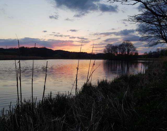 Naturbadeteich Sonnenuntergang