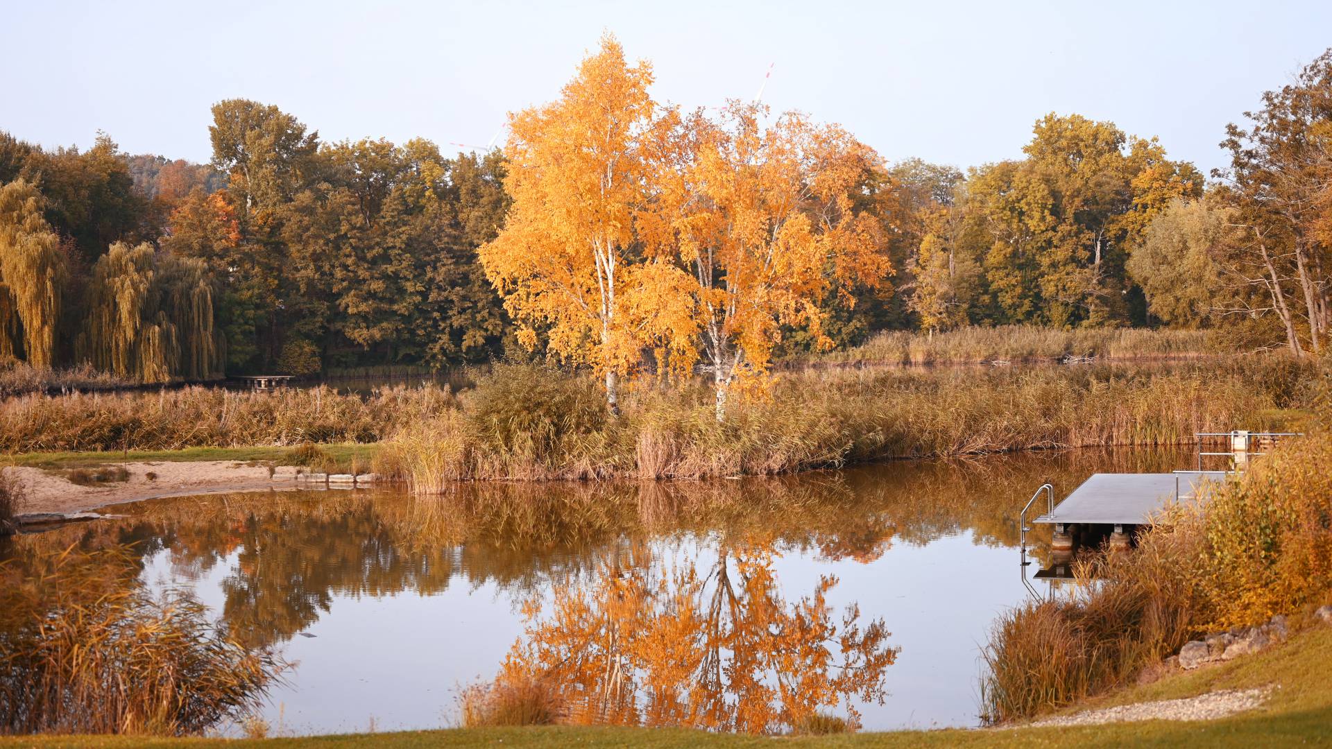 See im Herbst