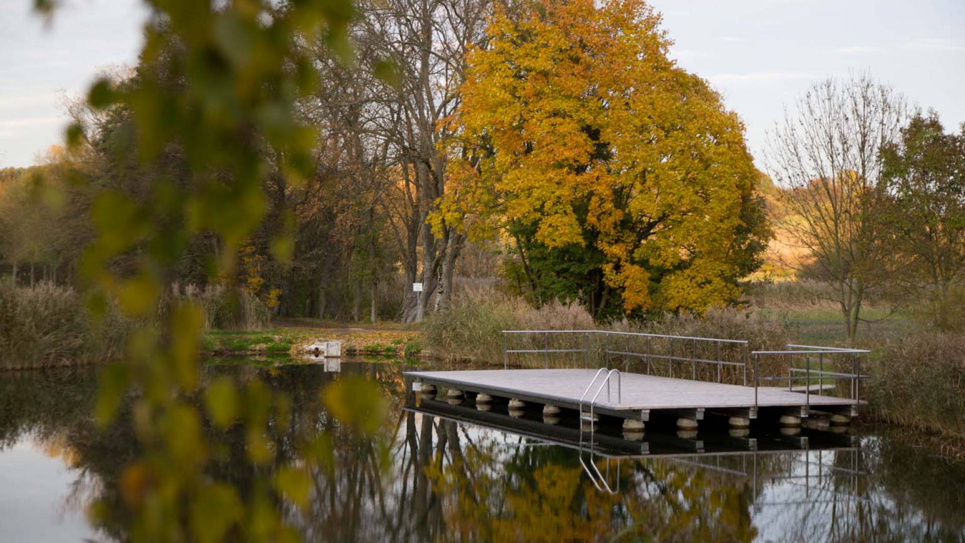 Schwimmteich im Herbst