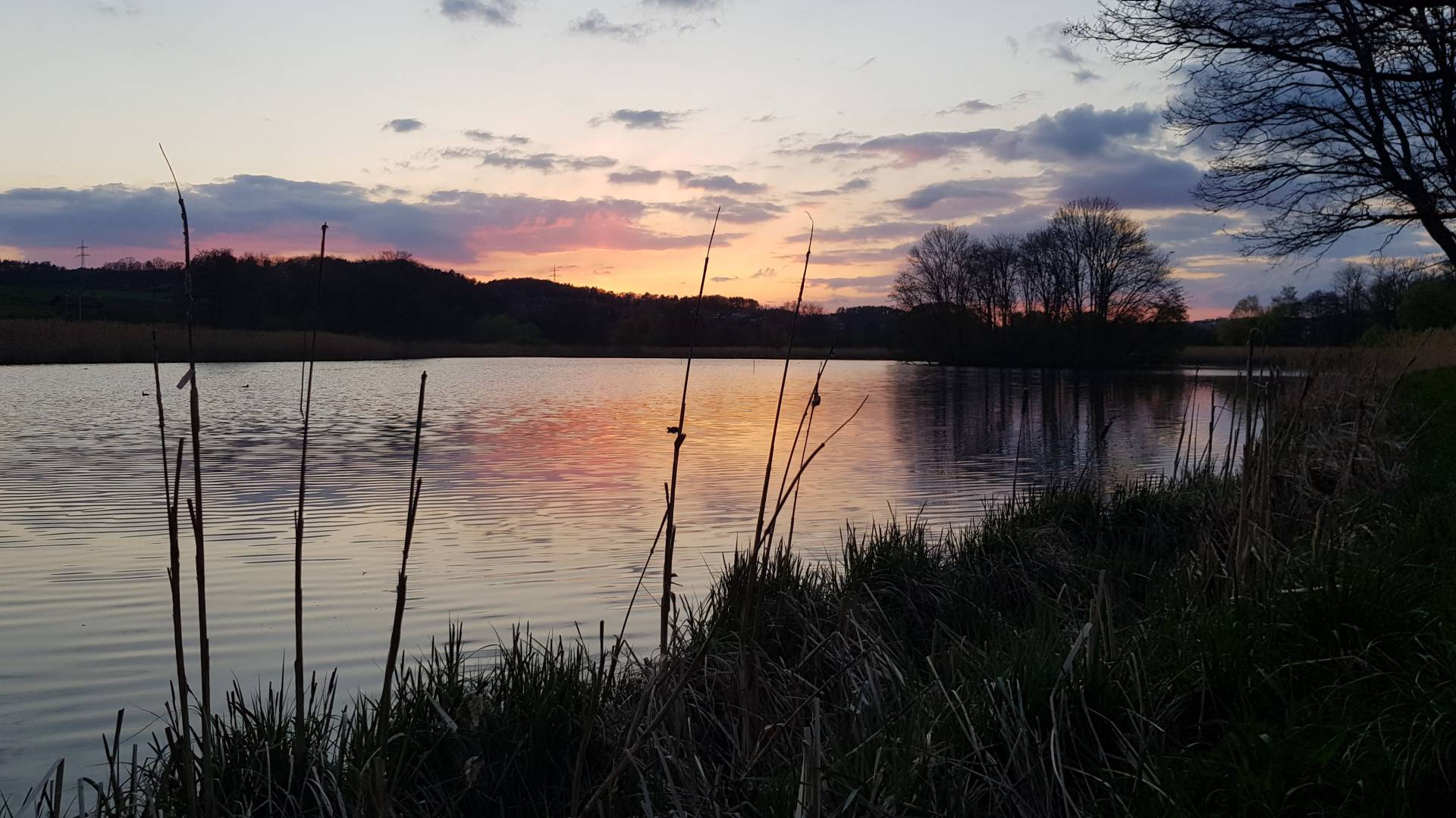 Naturbadeteich Sonnenuntergang