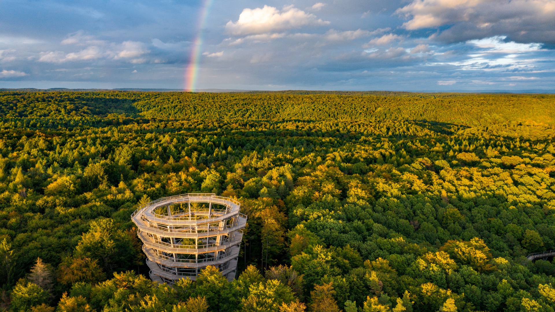 Baumwipfelpfad Steigerwald