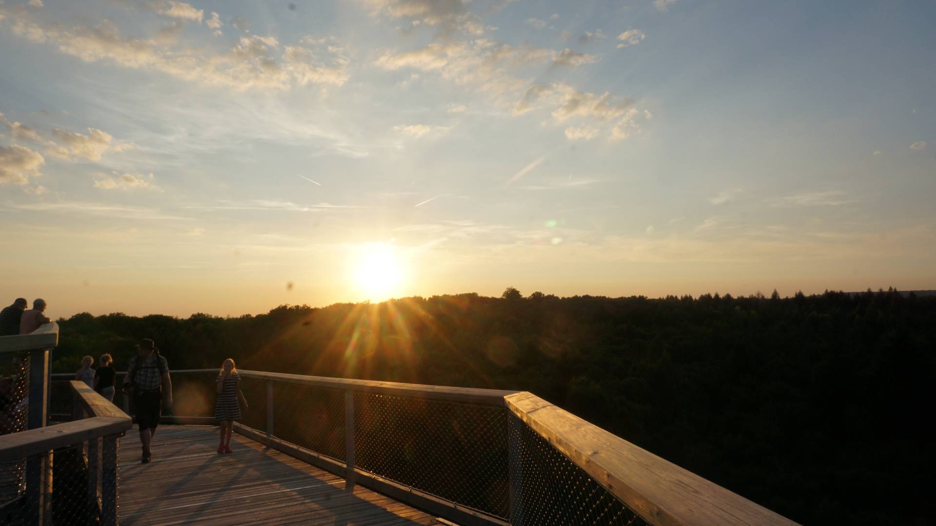 Sonnenuntergang Baumwipfelpfad Steigerwald